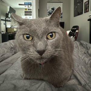 Meet your Posher, Mac